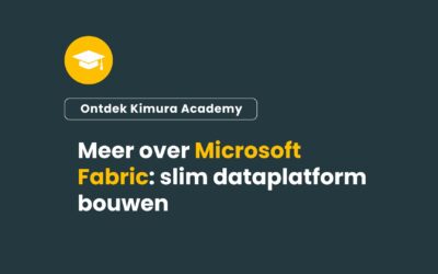 Microsoft Purview en Fabric: zo houd je grip op wie wat ziet in je dataplatform